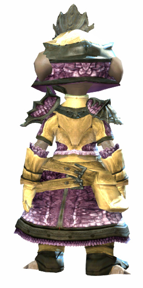 File:Emblazoned armor asura female back.jpg