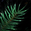 File:Rosemary Sprig.png
