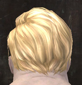 File:Unique norn male hair back 1.jpg
