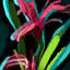 Preserved Red Iris.png