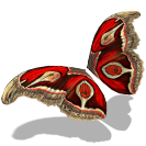 File:Moth Wings Glider Combo.png