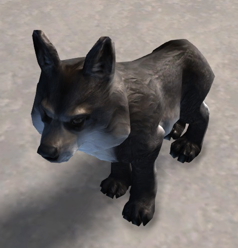 File:Wolf Pup.jpg