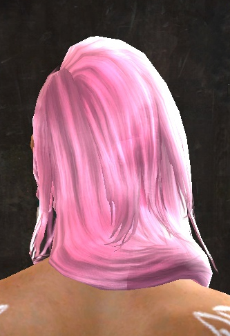 File:Unique norn female hair back 7.jpg