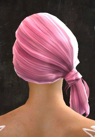 File:Unique norn female hair back 17.jpg