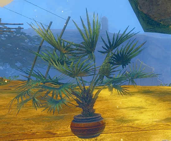 File:Potted Lady Palm.jpg