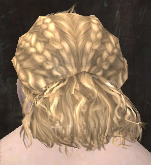 File:Unique norn male hair back 11.jpg