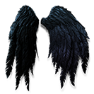 Black Wings Glider Combo.png
