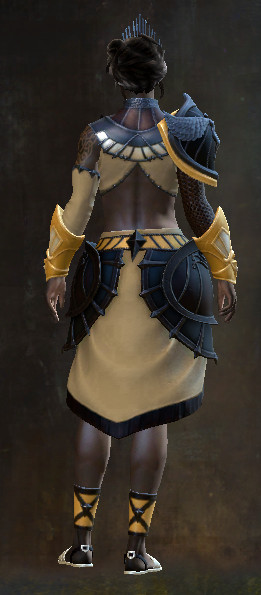 File:Sanctified armor norn female back.jpg