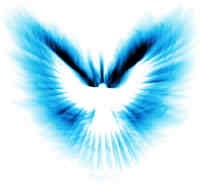 File:User Blue Phoenix Phoenix inverted.jpg