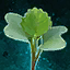 Germinate Cabbage.png