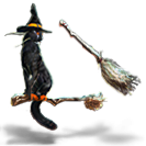 File:Riding Broom and Glider Combo New.png
