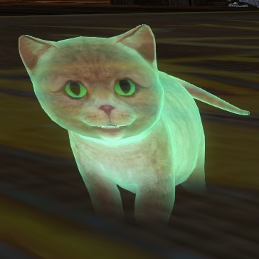 File:Holographic Kitten (NPC).jpg