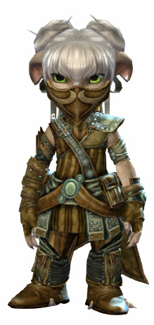File:Heritage armor (medium) asura female front.jpg