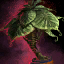 File:Potted Paddlefrond.png