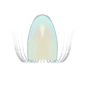 File:Jellyfish (ambient texture).png