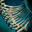 File:Primordial Leviathan Rib Cage- Right Curved.png