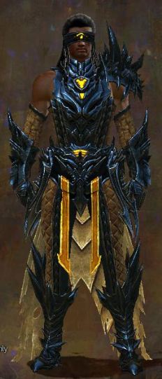 File Mistward Armor Human Male Front Guild Wars Wiki Gw W