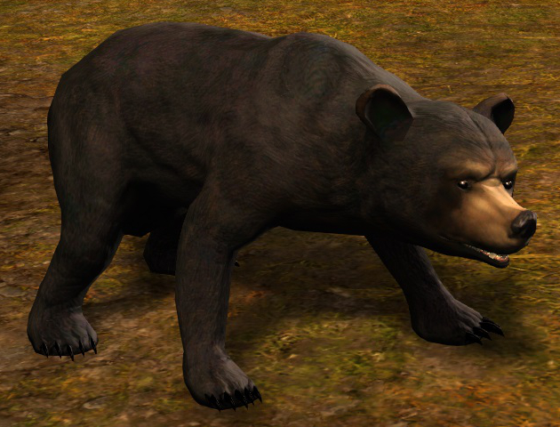 File:Black Bear (historical).jpg
