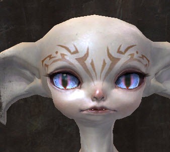 File:Gw2-new-faces-festival-of-four-winds-asura-male-2.jpg