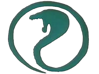 Guild Wars Logo on User Supercobra Logo Png