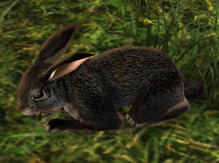File:Rabbit (Black).jpg