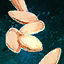 File:Butternut Squash Seeds.png