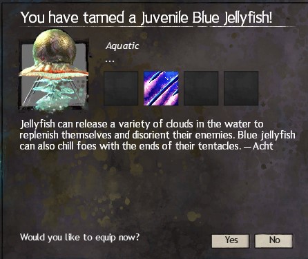 File:Blue Jellyfish description.jpg