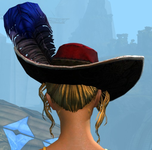 File:Swaggering Hat female human back.jpg