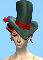 Ringmaster's Hat female version.jpg