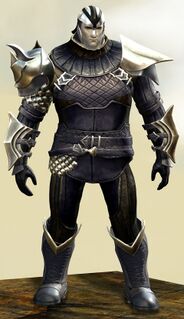 Elegy armor (medium) norn male front.jpg