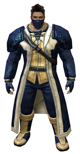 File:Rogue armor norn male front.jpg