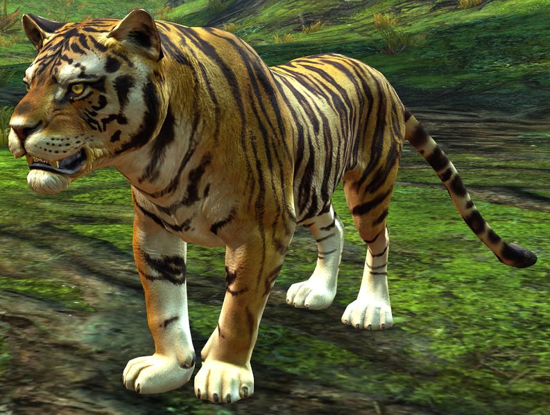 File:Tiger.jpg