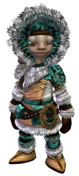File:Arctic Explorer Outfit asura male front.jpg