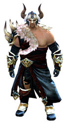 Braham's armor norn male front.jpg