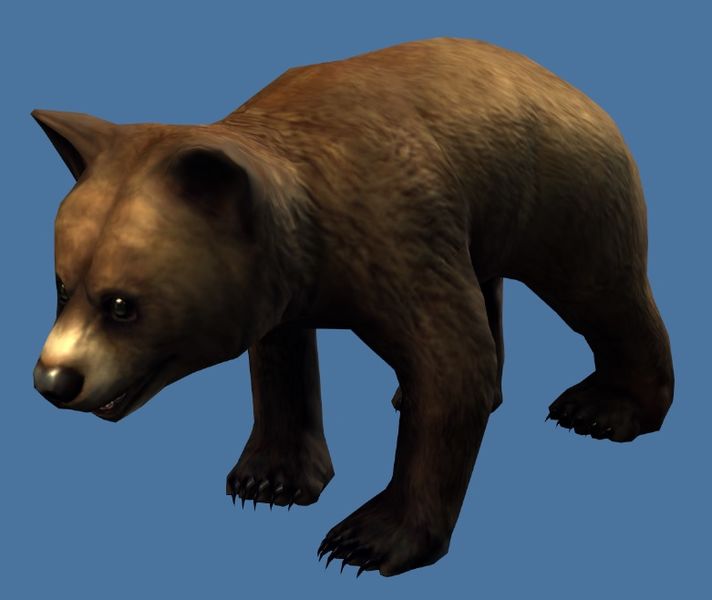 File:Mini Bear Cub.jpg