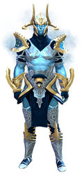 Zodiac armor (light) human male front.jpg