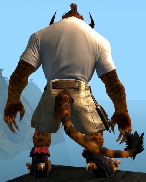 File:Heart of Thorns Emblem Clothing Outfit charr male back.jpg