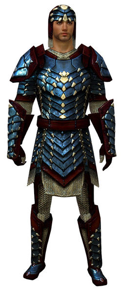 File:Reinforced Scale armor human male front.jpg