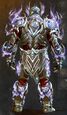 Etherbound armor norn male back.jpg