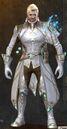 Astral Scholar Outfit norn male front.jpg