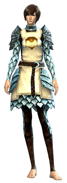 File:Guild Defender armor human female front.jpg