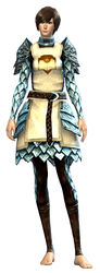 Guild Defender armor human female front.jpg