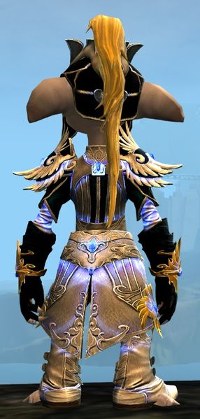 File:Mistforged Triumphant Hero's armor (light) asura male back.jpg