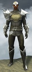 Elegy armor (medium) human male front.jpg