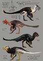From top to bottom: Crested Raptor, Vulture Raptor, Black Raptor, Eagle Raptor