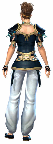 File:Embroidered armor norn female back.jpg