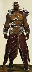 Mist Shard armor (light) human male front.jpg