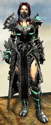Warbeast armor (medium) norn female front.jpg