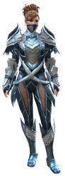 Strider's armor norn female front.jpg