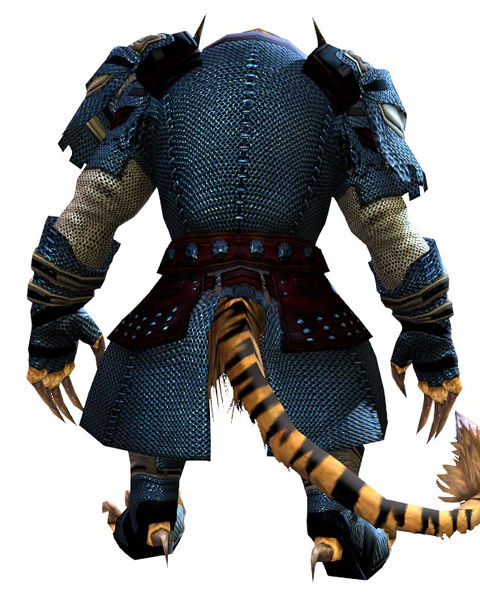 File:Chainmail armor charr male back.jpg